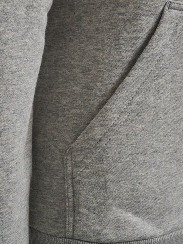 Hummel Sweatshirt i grå