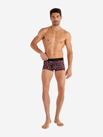 Boxers ' Malcolm ' HOM en bleu