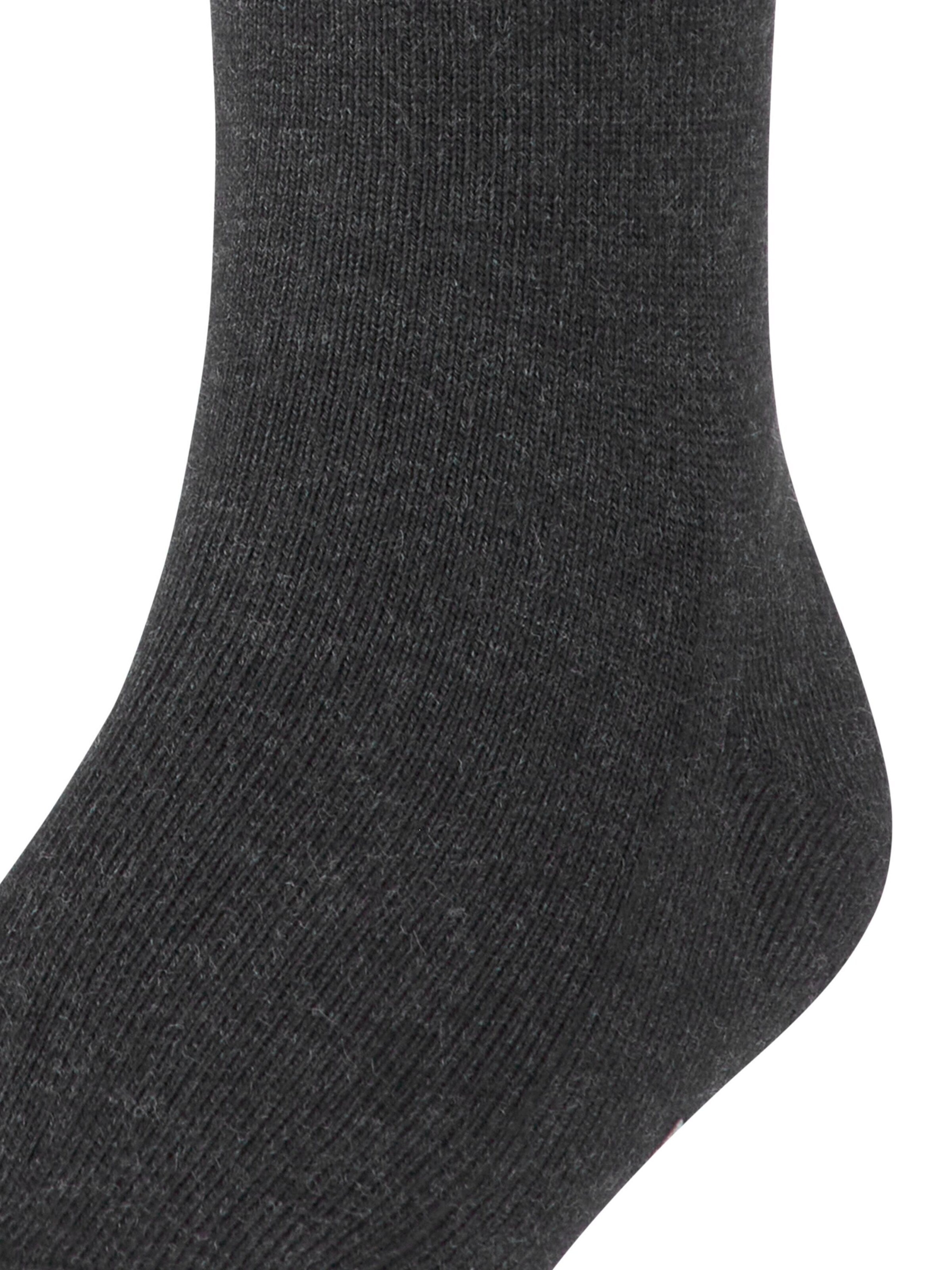 FALKE Socks 'Family' in Grey