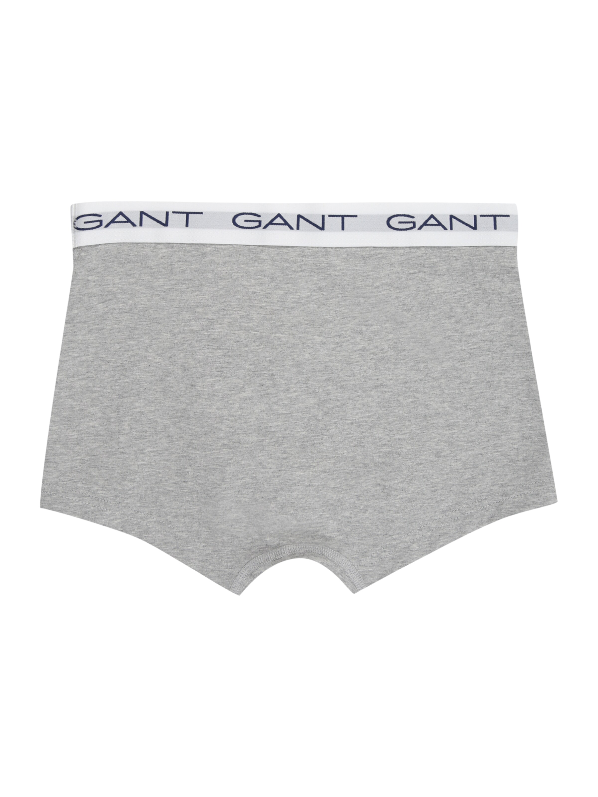 GANT Bielizna w kolorze szary