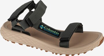 COLUMBIA Sandale 'Konos Globetrot' in Grau: Vorderseite
