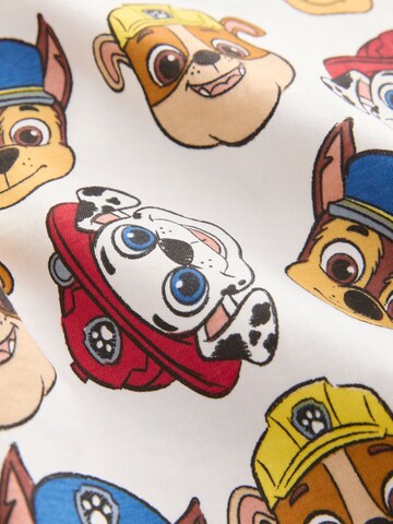 Next Shirt 'Paw Patrol' in Mixed colours