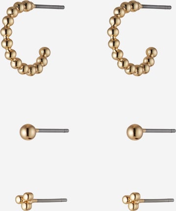 ALDO Earrings 'COSTESTI' in Gold: front