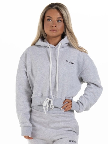 Sweat-shirt 'Comfy' Divina en gris : devant