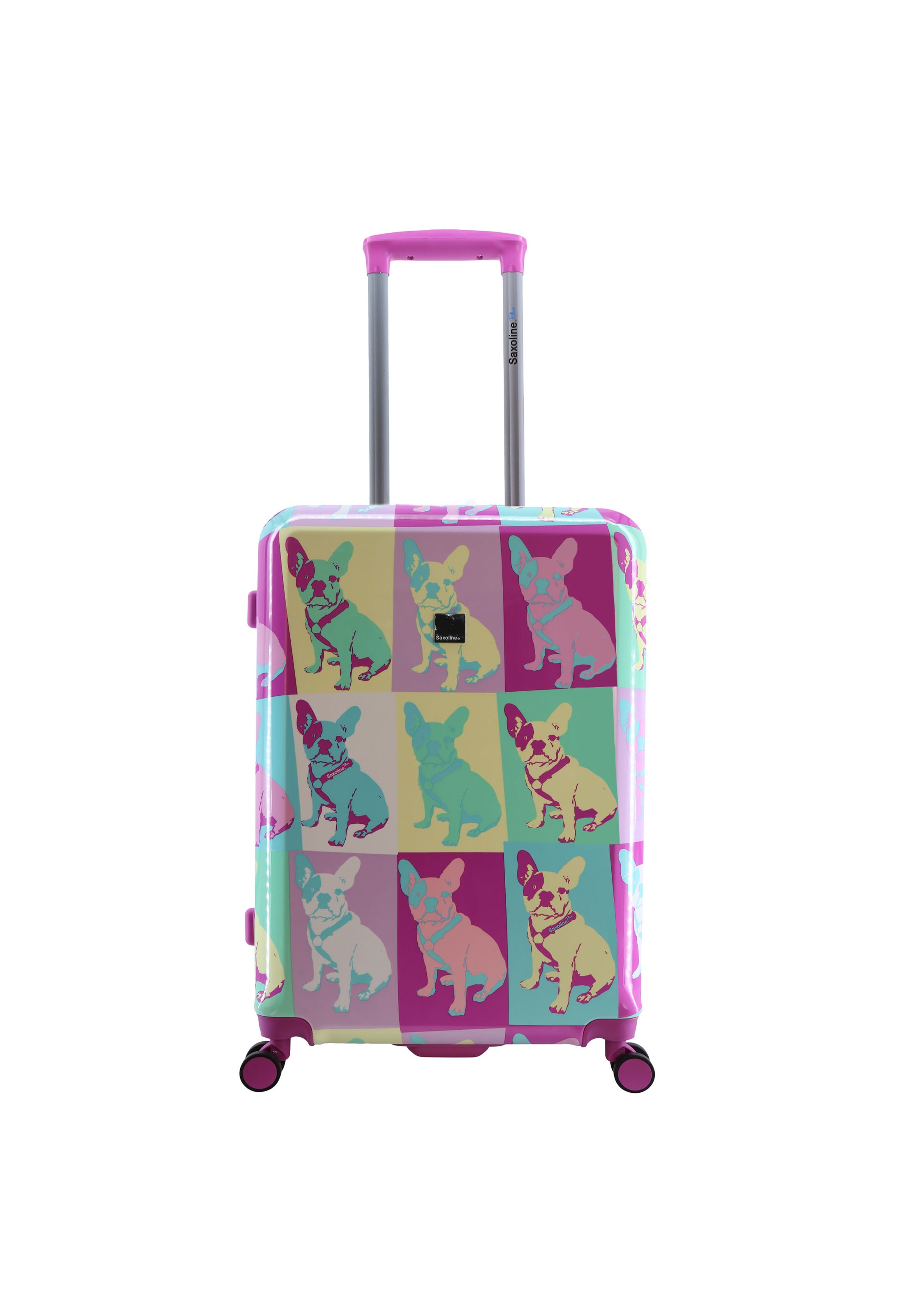Saxoline Blue Suitcase in Mixed colors: front