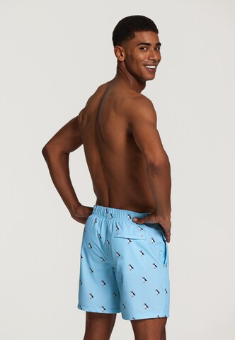 Shiwi Badeshorts 'puffin 4-way stretch' i blå