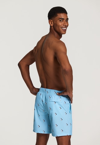 ShiwiKupaće hlače 'puffin 4-way stretch' - plava boja