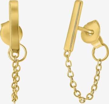 Lucardi Earrings in Gold: front