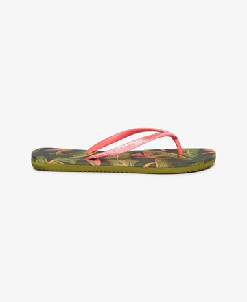 Tongs Superdry en rose