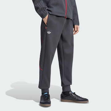 ADIDAS PERFORMANCE Обычный Спортивные штаны 'LFC Teamgeist 26' в Серый: спереди