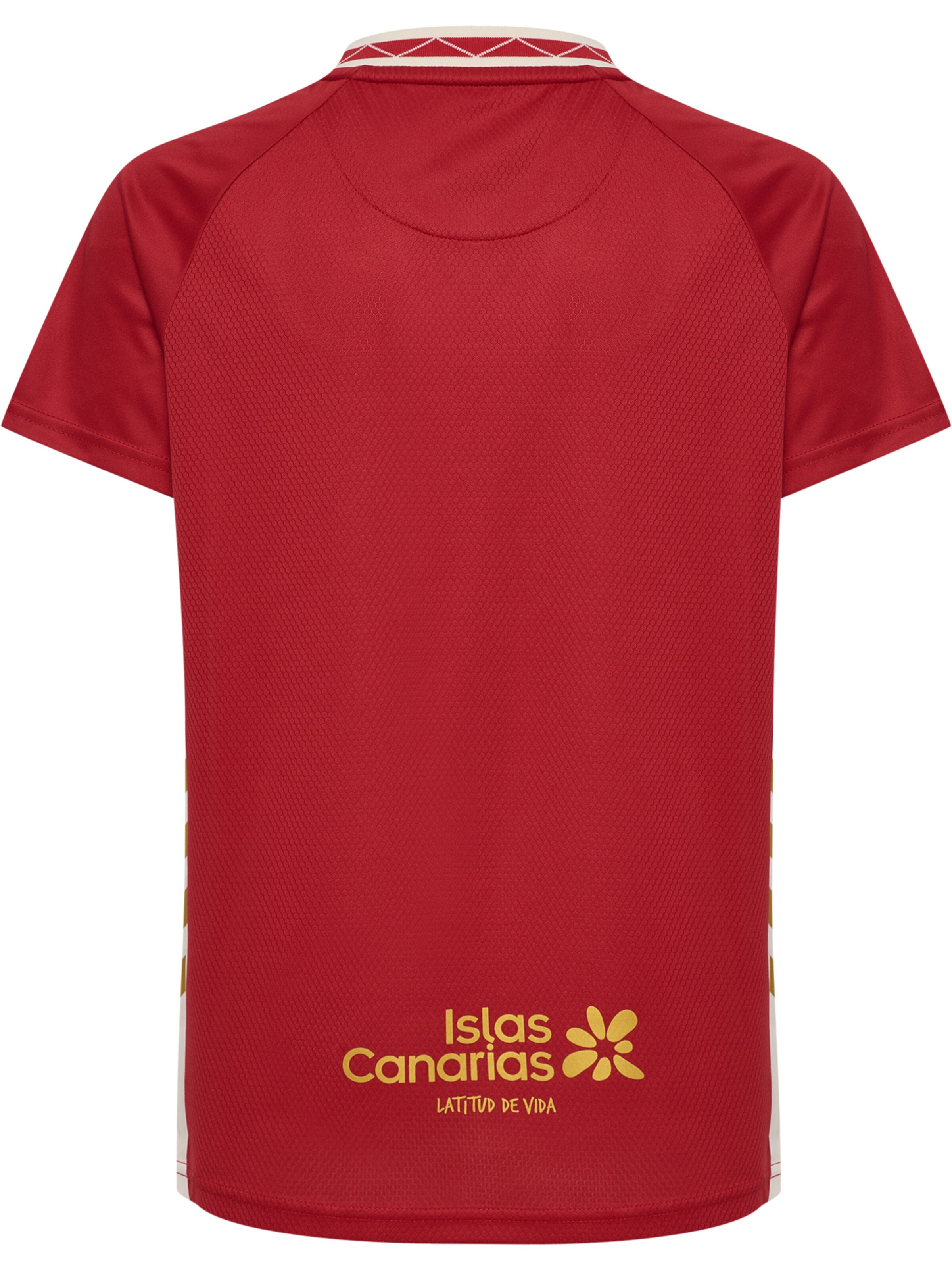 Hummel Funktionsskjorte 'CDT 25/26 Away' i rød