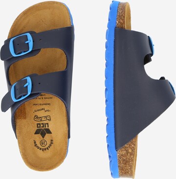 LICO Sandals & Slippers 'BIOLINE' in Blue