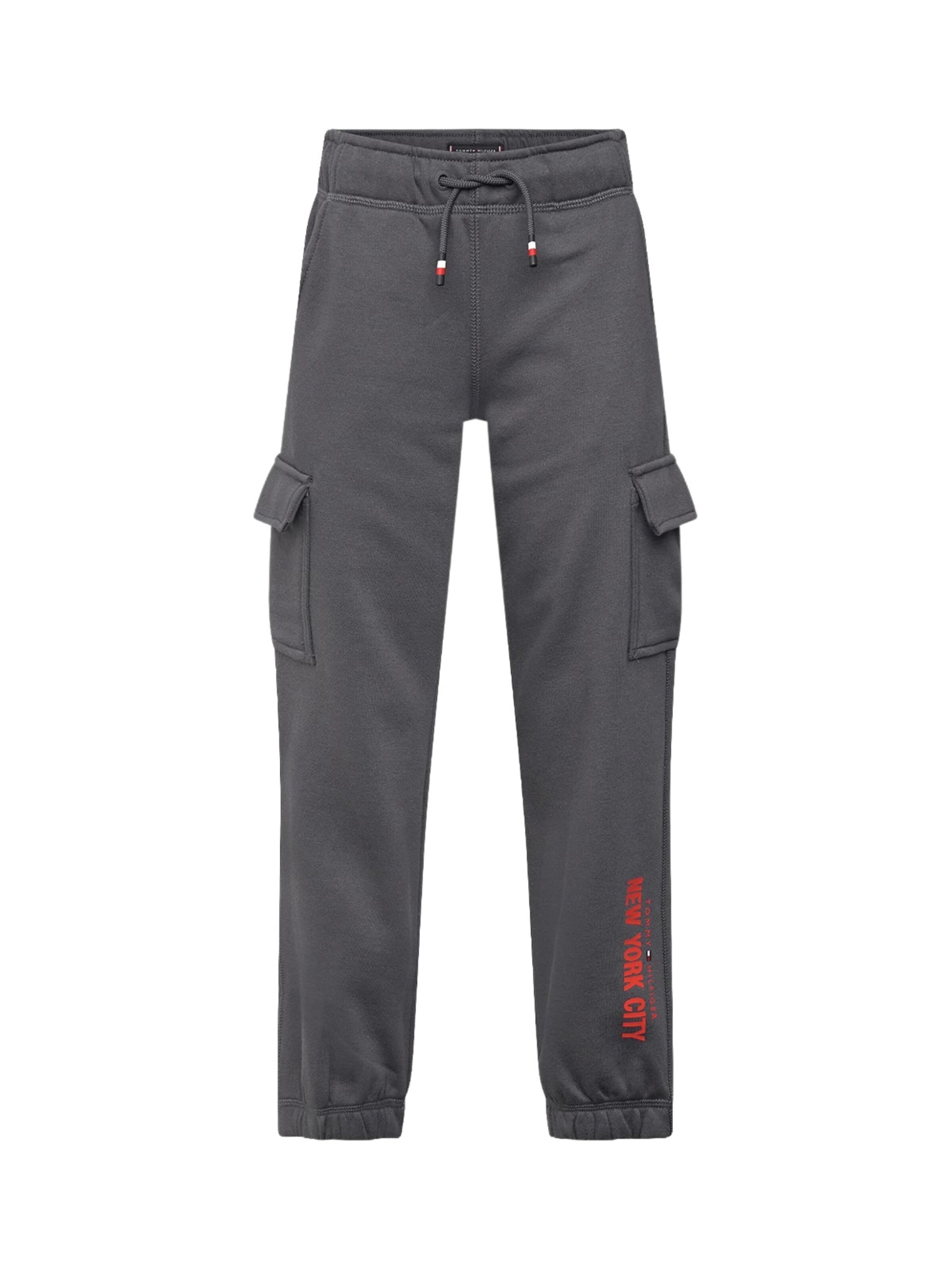 Tommy Hilfiger Kids - regular Pantalón en gris: frente