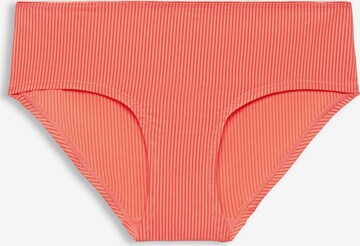 ESPRIT Panty in Rot: predná strana