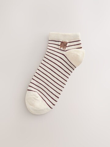 NextČarape 'Hamish' - bež boja