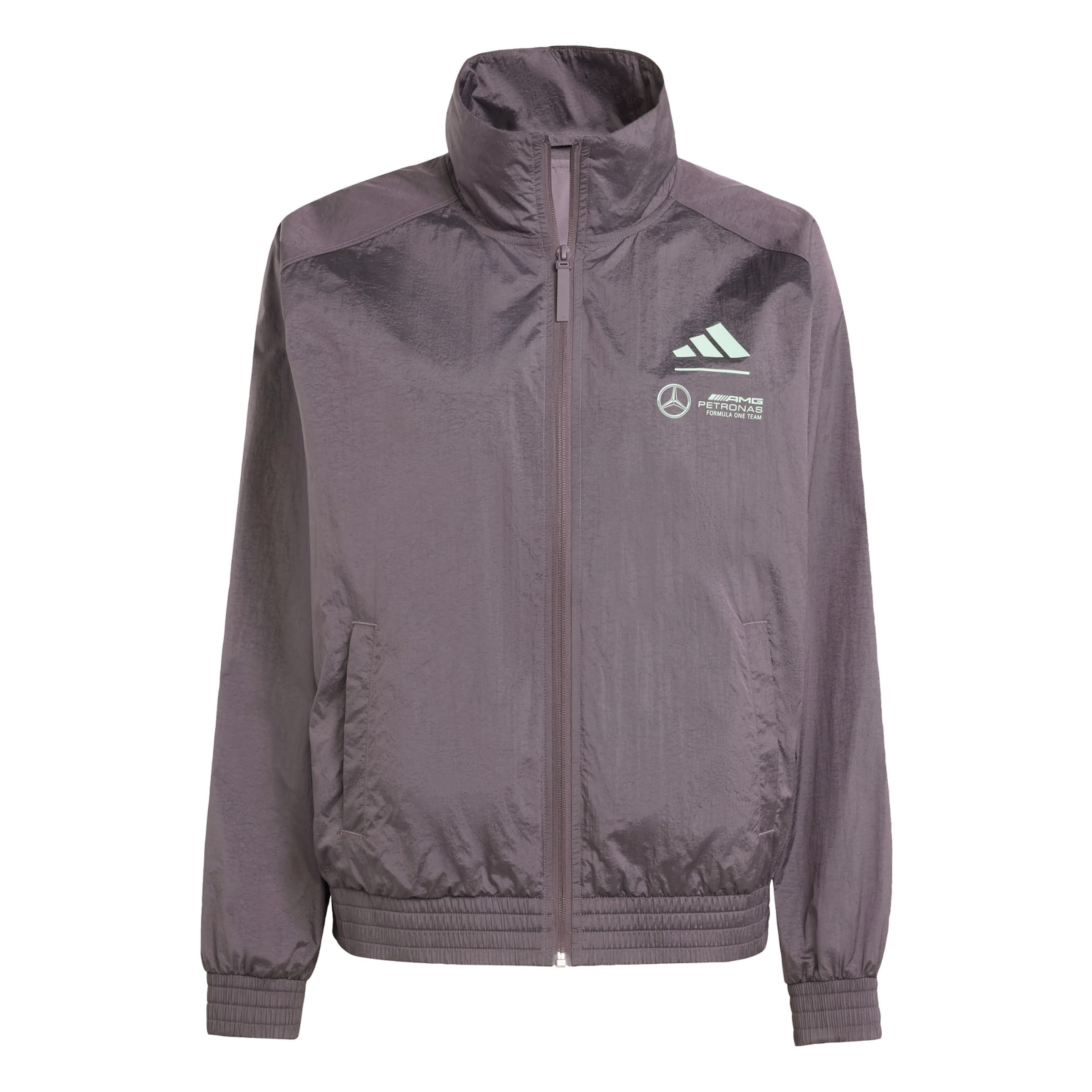 ADIDAS PERFORMANCE - Chaqueta deportiva 'Mercedes AMG Petronas Formula One Team' en gris: frente