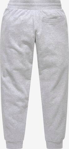 KangaROOS Tapered Pants in Grey