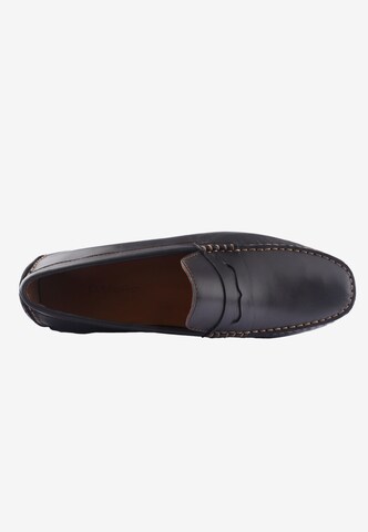 D.MoRo Shoes Classic Flats 'FARCAR' in Brown
