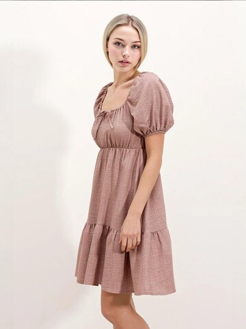 Bigdart Dress in Pink