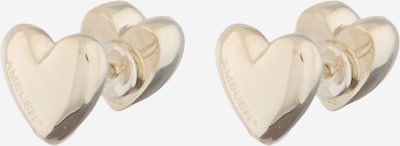 AMBUSH Naušnice u srebro, Pregled proizvoda