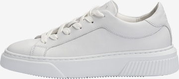 Baskets basses 'MODO' LLOYD en blanc : devant