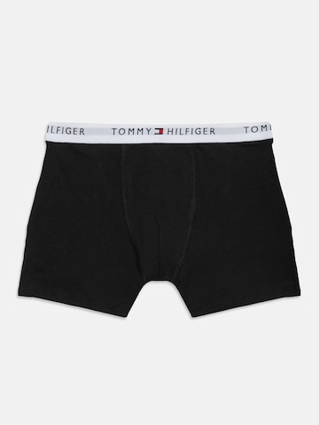 Tommy Hilfiger UnderwearGaće - plava boja