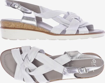 ARA Sandals & High-Heeled Sandals in 41 in White: front