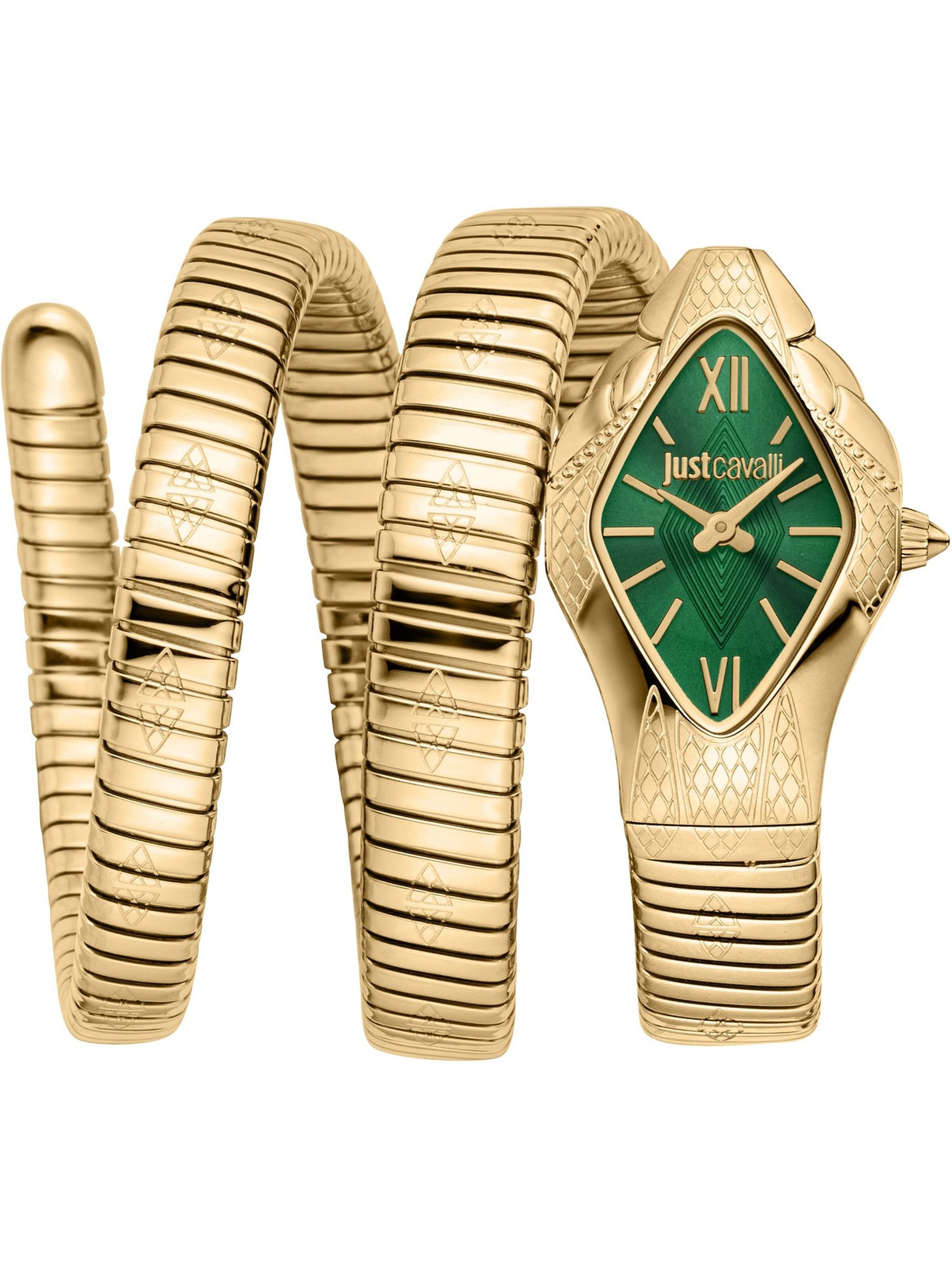 Just Cavalli Analog watch in Gold / Dark green, Item view