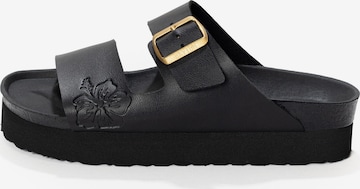 juoda Bayton Šlepetės 'Jendo': priekis