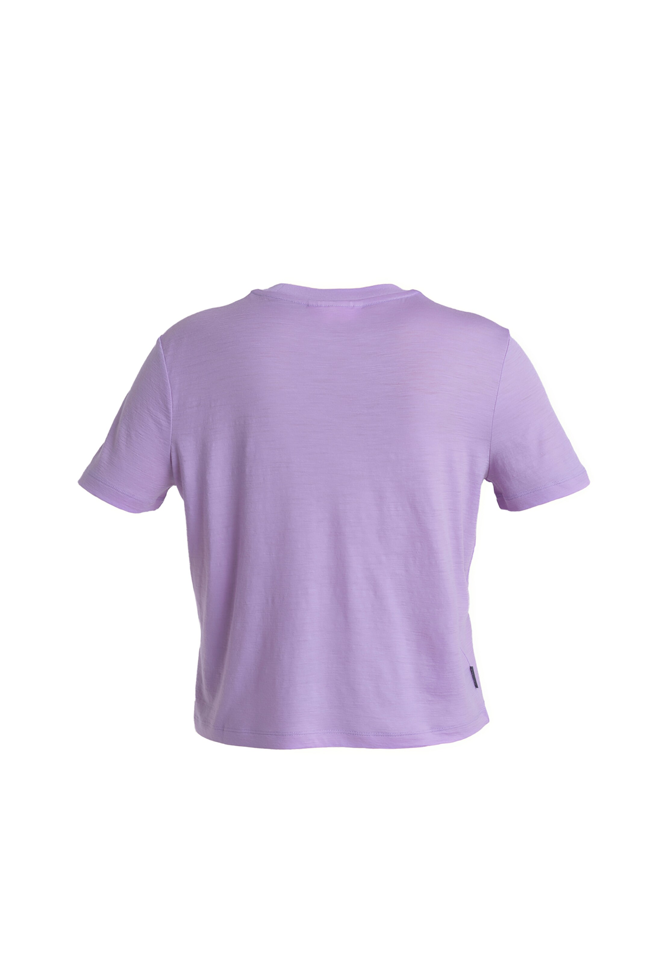 ICEBREAKER Performance Shirt 'Tech Lite III' in Purple
