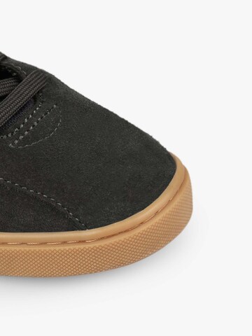 Scalpers Sneaker low 'New Wilson' i grå