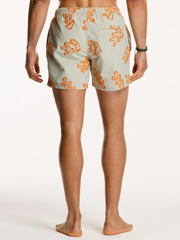 Shorts de bain 'NICK' Shiwi en gris