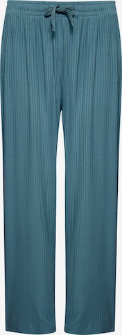 GREENBOMB Regular Trousers 'Mood Basic' in Blue: front