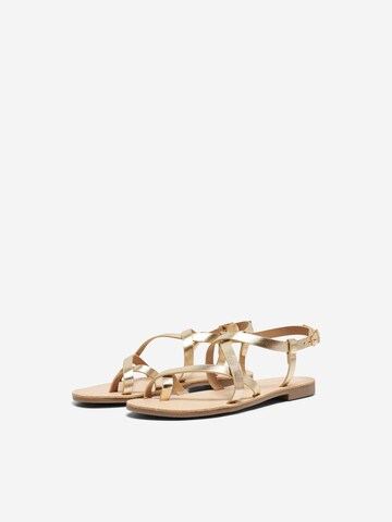 ONLY Sandalen met riem 'MANDALA-15' in Goud