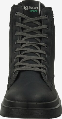 IGI&CO Lace-Up Boots in Blue