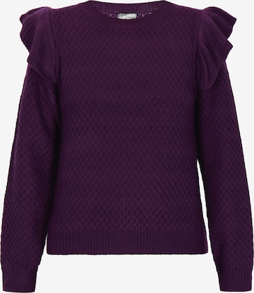DreiMaster Vintage Trui 'Vintage' in Lila: voorkant