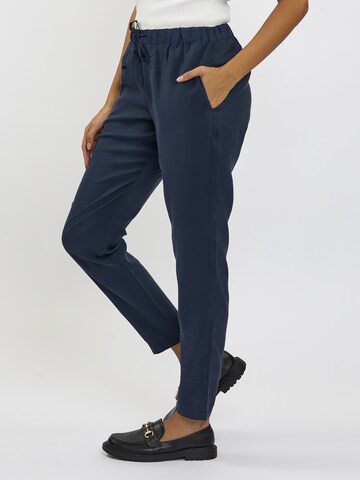 FRESHLIONS Regular Broek in Blauw