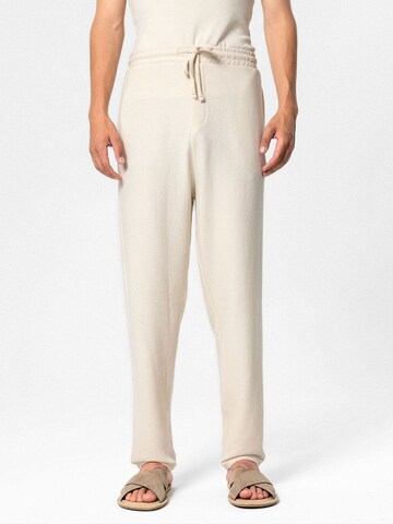Loosefit Pantalon 'Foxglove' VAMOS CLO en beige : devant