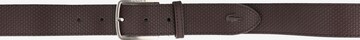 Ceinture LACOSTE en marron