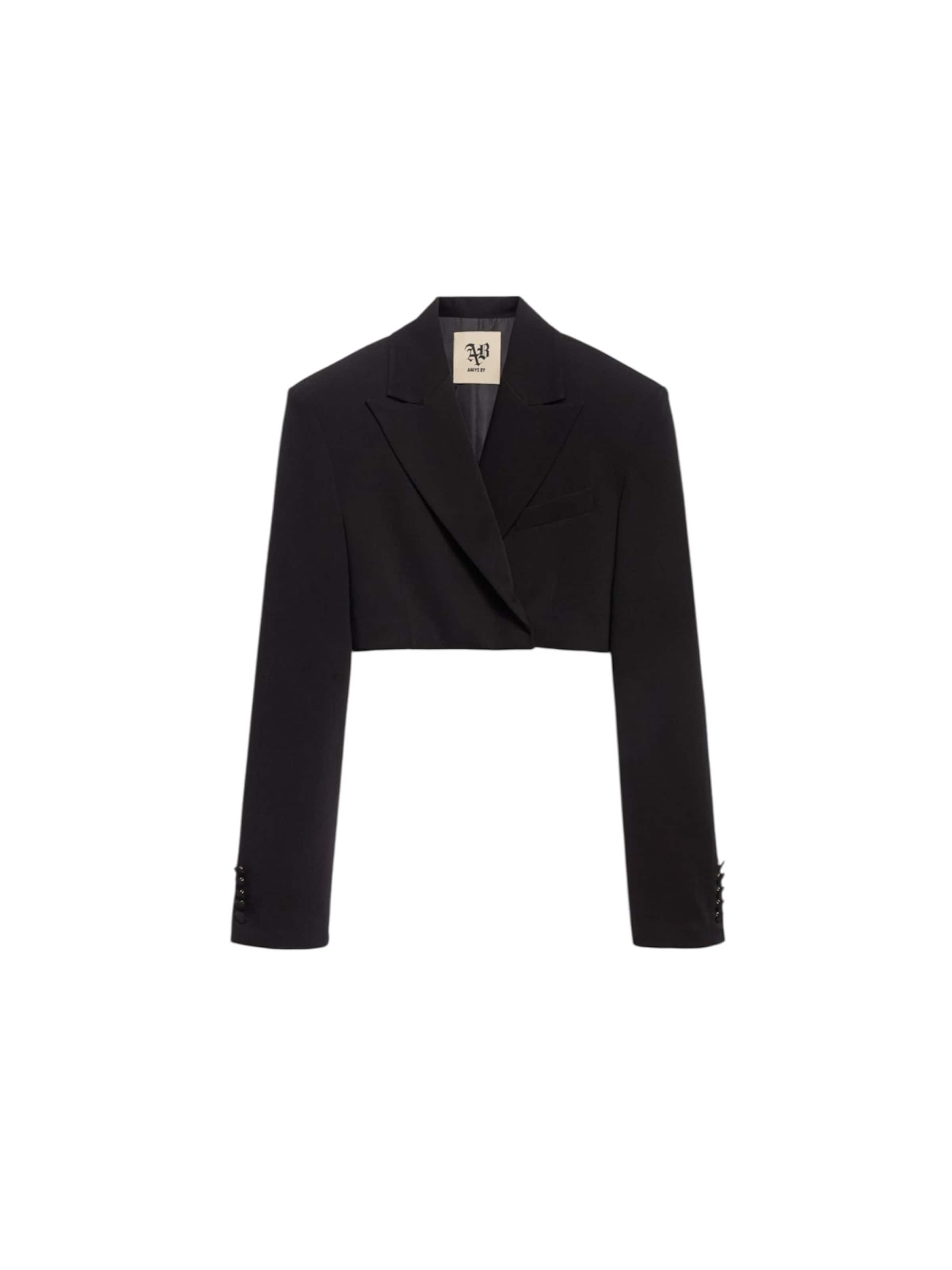 Aniye By Blazer in Schwarz: Vorderseite
