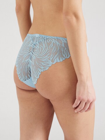 TRIUMPH - Braga en azul