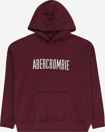 Abercrombie & Fitch Sweatshirt in Lila: predná strana