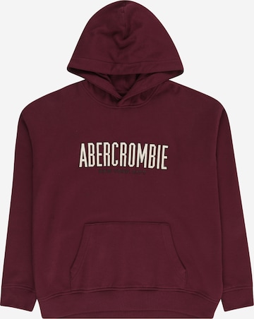 Abercrombie & Fitch Sweatshirt in Purple: front