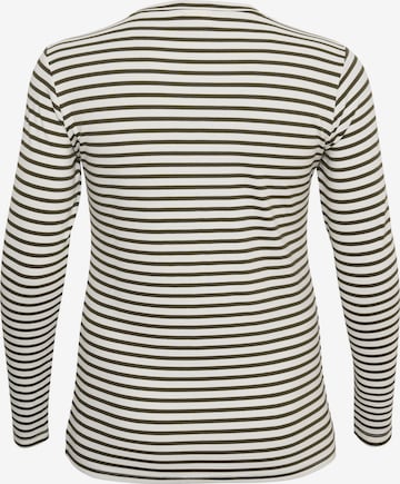 KAFFE CURVE Shirt 'Clia' in Grün