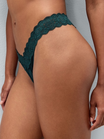 INTIMISSIMI Panty in Green