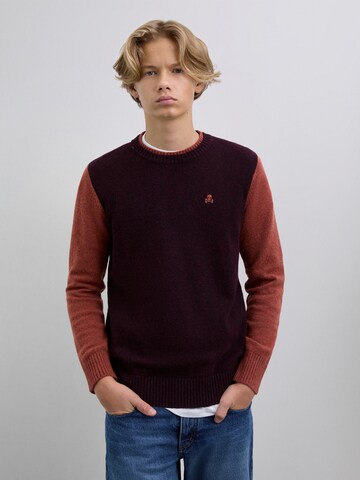 Scalpers Pullover in Braun