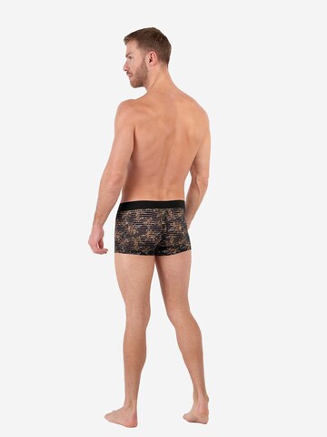 Boxers ' Ilraty ' HOM en beige