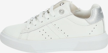 GEOX Sneakers in White