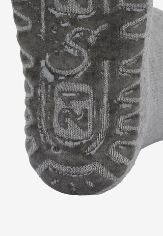 STERNTALERregular Čarape - siva boja