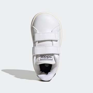 Baskets 'Advantage' ADIDAS ORIGINALS en blanc